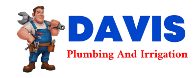 Trusted plumber in DANA